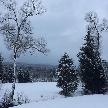 Morgensonne Lägenhet Mühlen