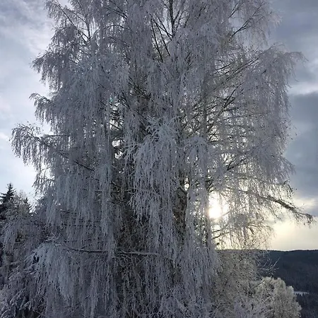 Morgensonne