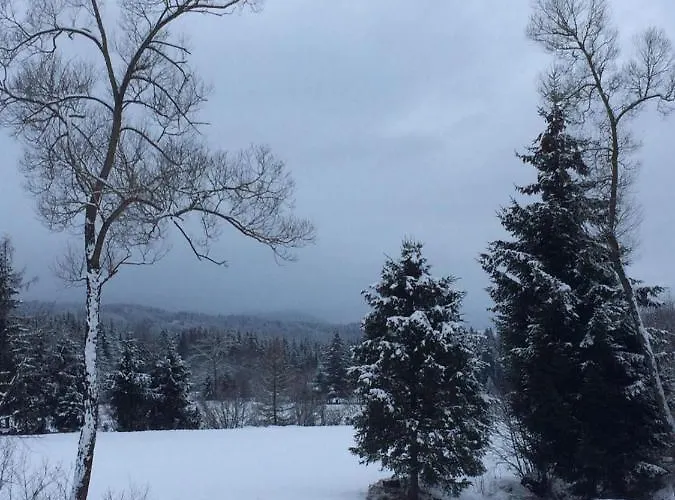 Morgensonne Apartment Muhlen (Styria)